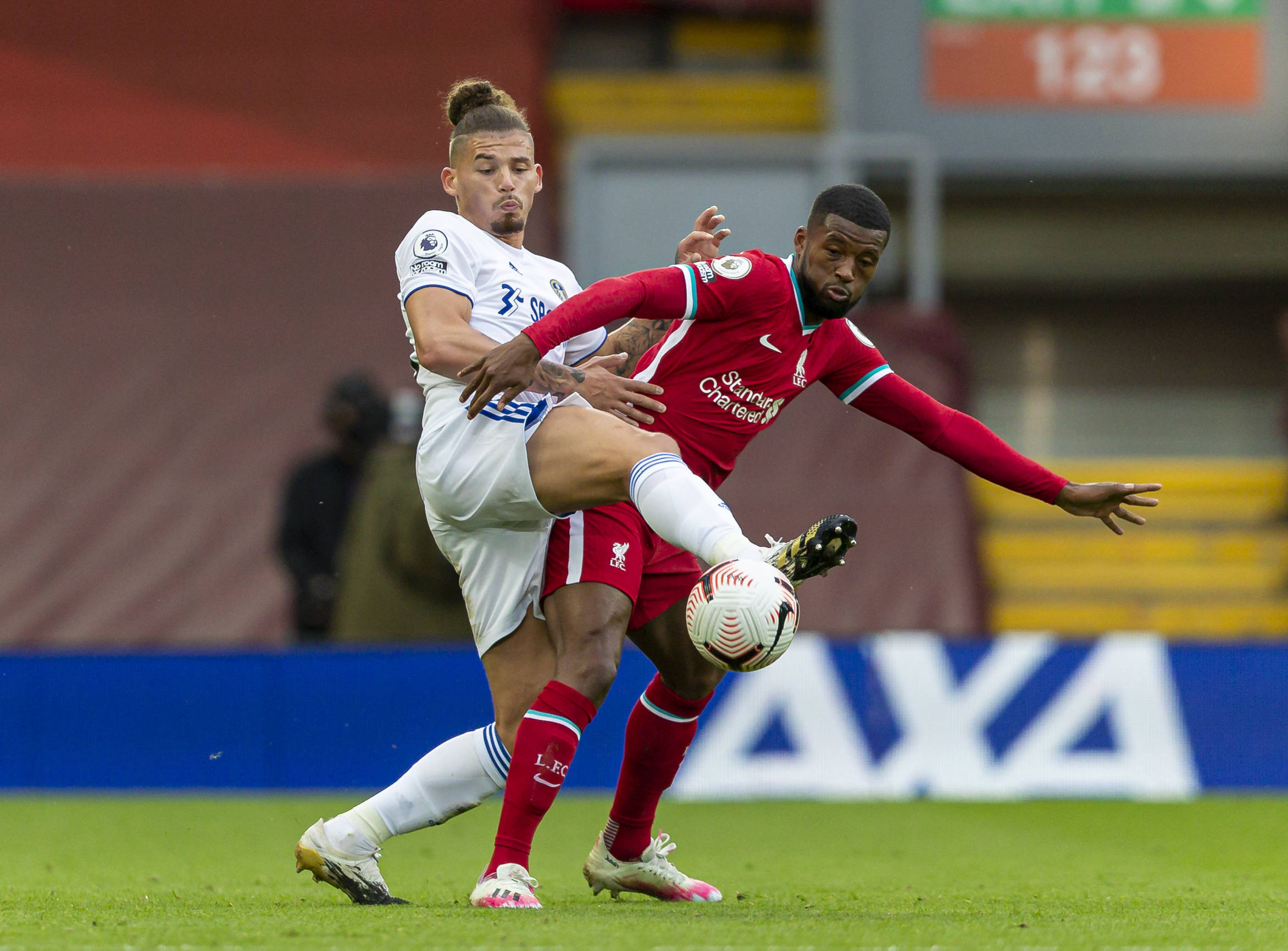 极参与社会 极参与社会