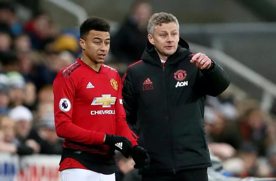 涯的延续 涯的延续